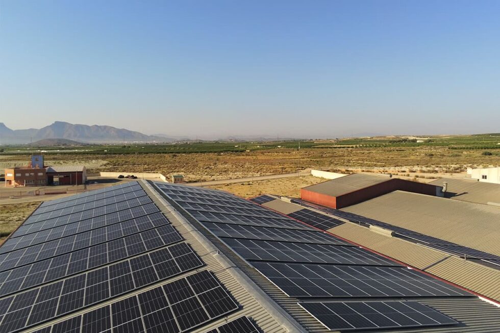 Jos S nchez Aranda Instala Una Planta Solar De Autoconsumo En Sus jos-s-nchez-aranda-instala-una-planta-solar-de-autoconsumo-en-sus